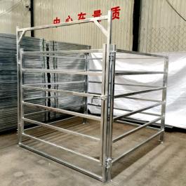 Swing Gate Panels For Cattle Yard